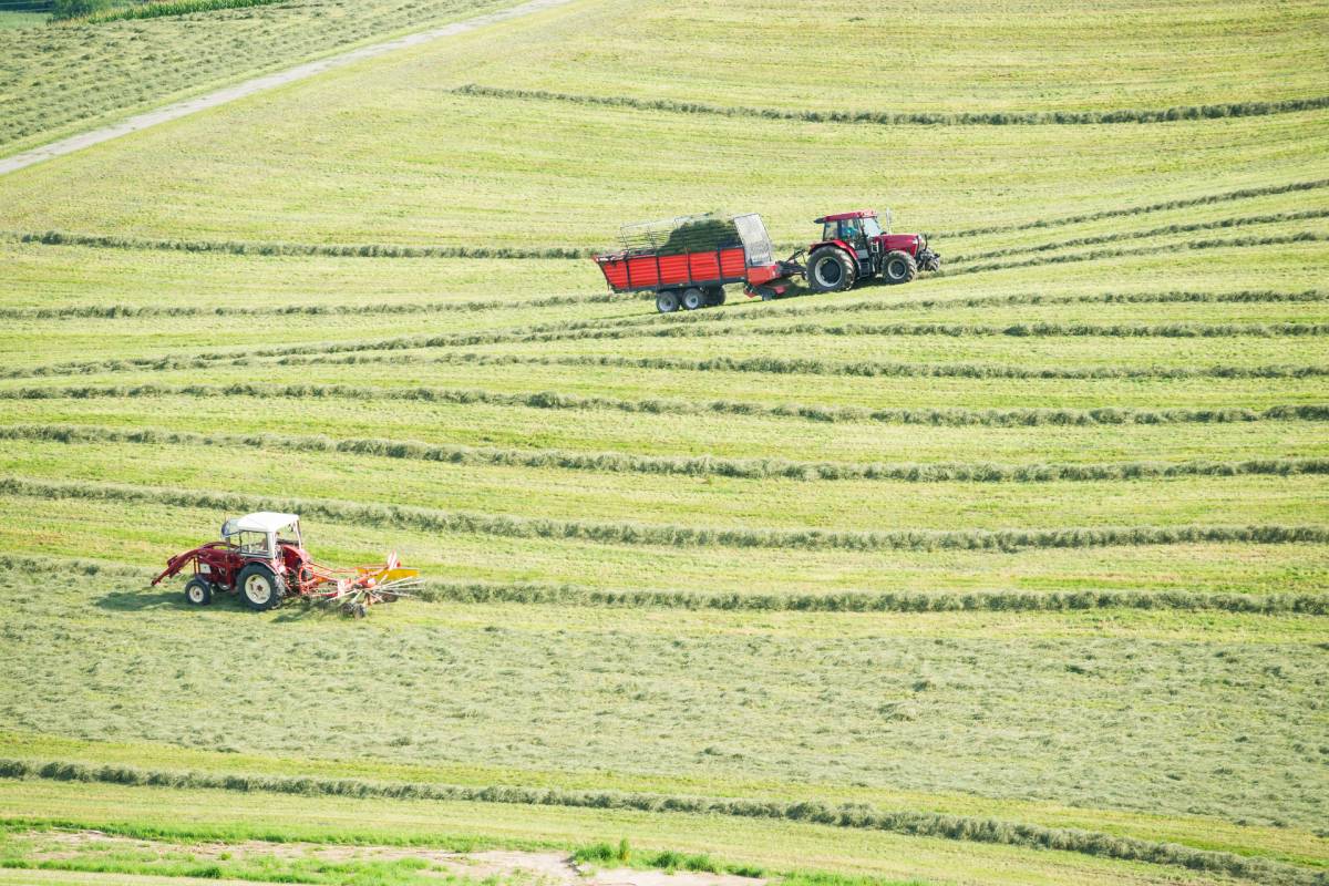 Exploitation agricole &#038; production du lait Valentigney