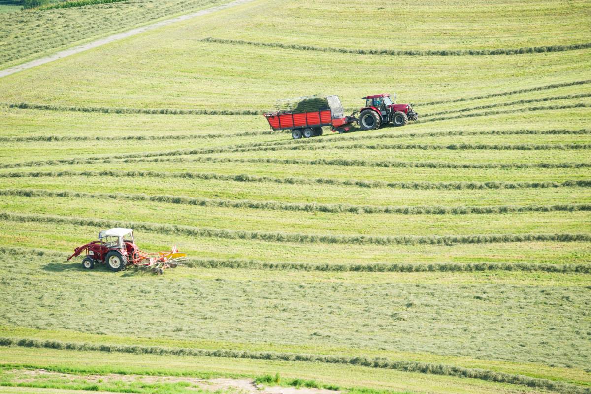 Exploitation agricole &#038; production du lait Valentigney