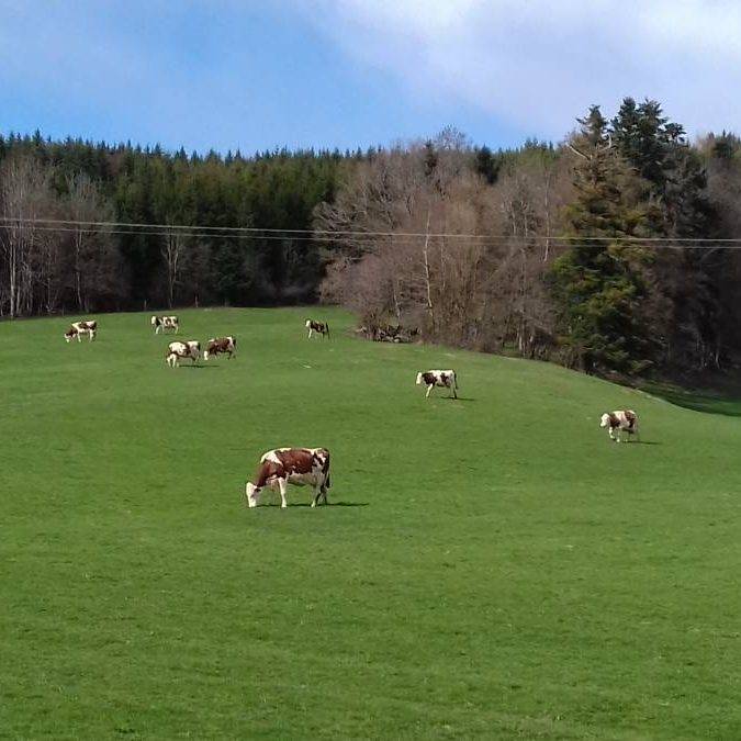 SCAF Monts et Vallée Delle 2