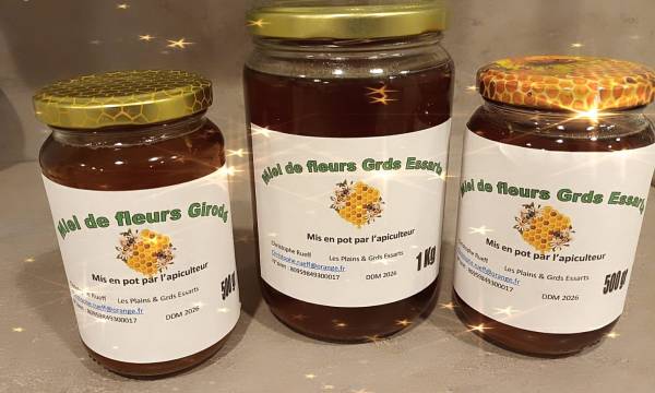 Miel 1kg Audincourt 0